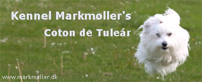 Markmøller's Coton